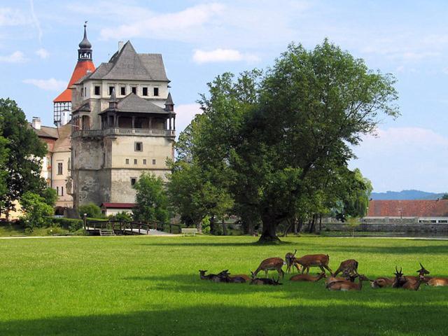 Apartman Podskalska Blatná Exterior foto